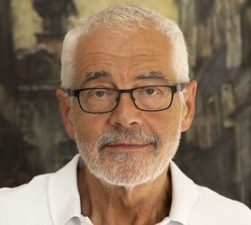 Leo Pavlát